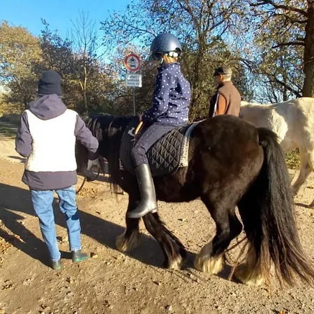 Einfachlosmachen Turmzimmer * Aulosen