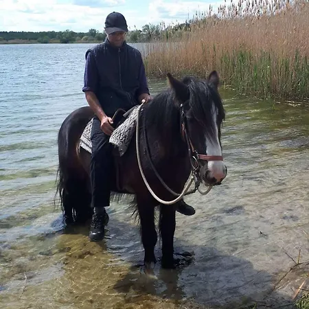 Homestay Einfachlosmachen Turmzimmer Aulosen