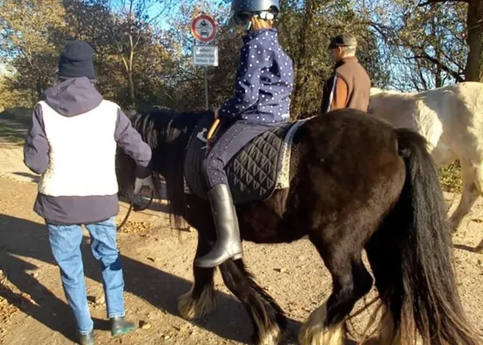 Einfachlosmachen Turmzimmer * Aulosen