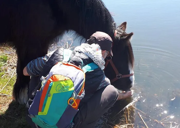 Homestay szállás Einfachlosmachen Turmzimmer Aulosen