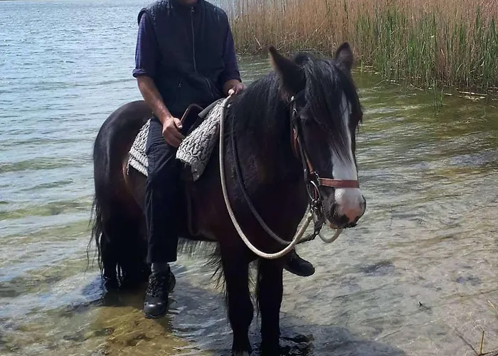 Pansiyon Einfachlosmachen Turmzimmer Aulosen